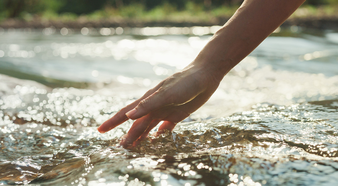 Sustainability Progress Report